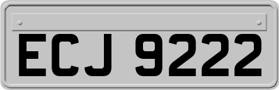 ECJ9222