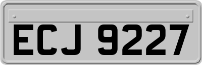 ECJ9227