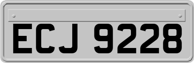 ECJ9228
