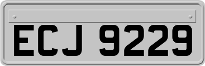 ECJ9229
