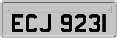 ECJ9231