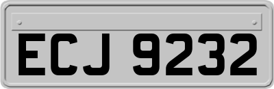 ECJ9232