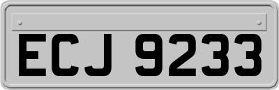 ECJ9233
