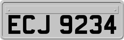 ECJ9234