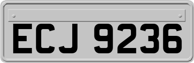 ECJ9236