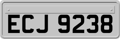 ECJ9238