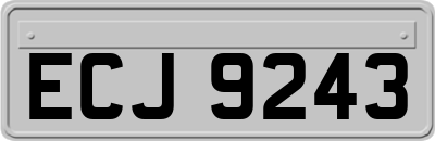 ECJ9243