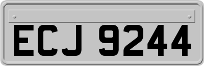 ECJ9244