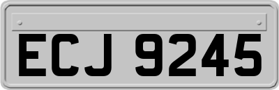 ECJ9245