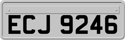 ECJ9246