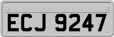 ECJ9247