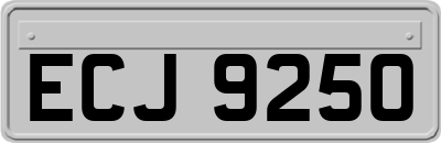 ECJ9250