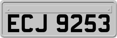 ECJ9253