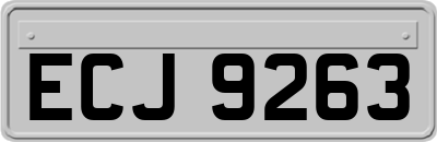 ECJ9263
