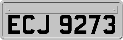 ECJ9273