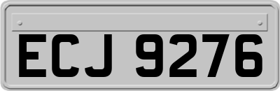 ECJ9276