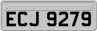 ECJ9279