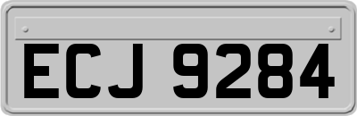 ECJ9284
