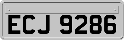 ECJ9286