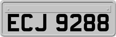 ECJ9288