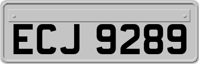 ECJ9289