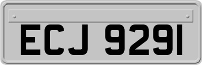 ECJ9291
