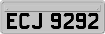 ECJ9292