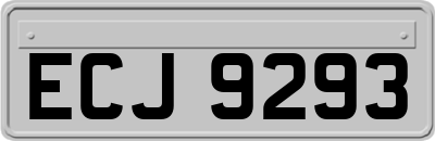 ECJ9293