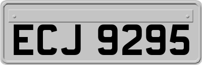 ECJ9295