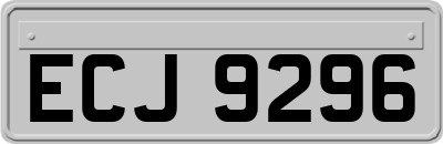 ECJ9296