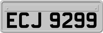 ECJ9299