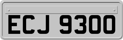 ECJ9300