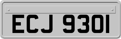 ECJ9301