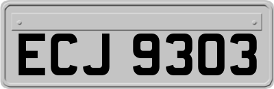 ECJ9303