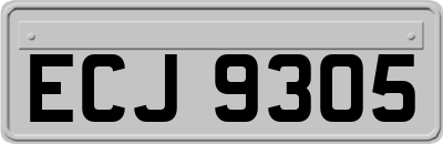 ECJ9305