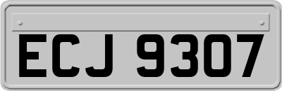ECJ9307