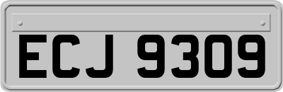 ECJ9309