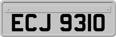 ECJ9310