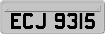 ECJ9315