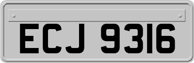 ECJ9316