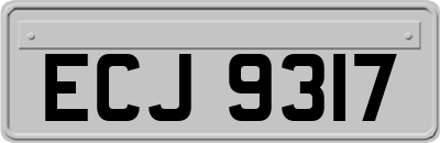 ECJ9317