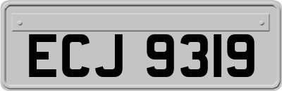 ECJ9319