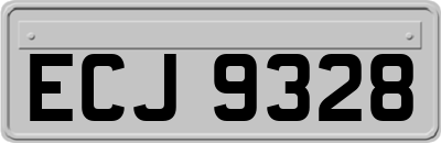 ECJ9328