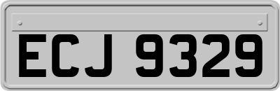 ECJ9329