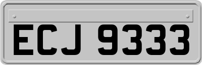 ECJ9333