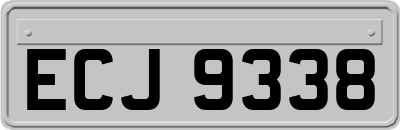 ECJ9338