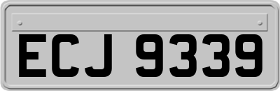 ECJ9339
