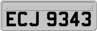 ECJ9343
