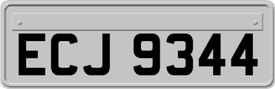 ECJ9344