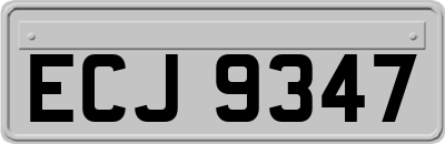 ECJ9347